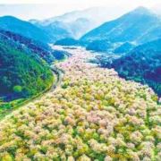 悠悠然矣