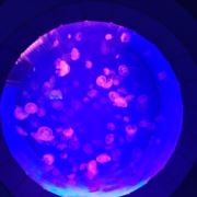CT~12356695