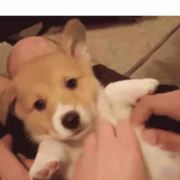 小哥哥想简单了