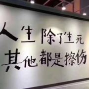 瑶瑶197