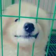 不知名男网友