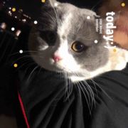 大团子5555