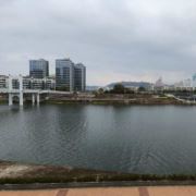 tcy~170400318