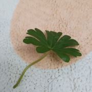 全身舒缓68
