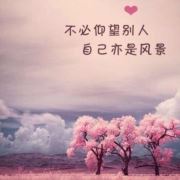 WX~173670731