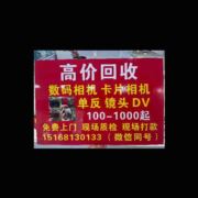 tcy~173972184