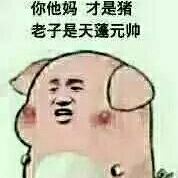 是菜啊