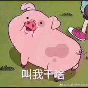 hai请叫我啊菜