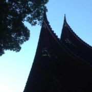 WX~177651016