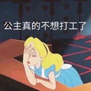 摆烂咸鱼22