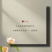 tc11530671