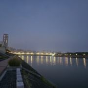tcy~179260899