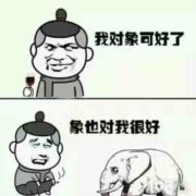 半醉浮华笺