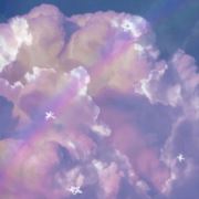 WX~181712528