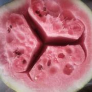 一二三四快点