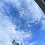 如此的冬天