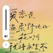 劲儿101