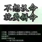 tcy~186023024