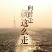 WX~186028944