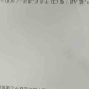 a猫猫狗狗