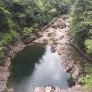 山娃221
