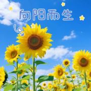 琼妹520