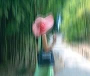 心若常在