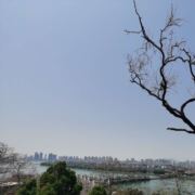 黑松鼠111