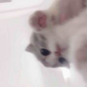 这个人很酷i