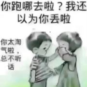 独苧流浪