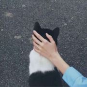 方錦涛