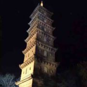 tcy~186399536