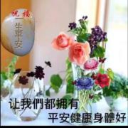 WX~186406465