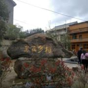WX~186415455