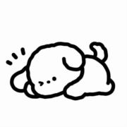WX~186420283