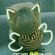 YSY漫漫人生路