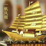WX~186444650