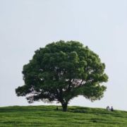 努力找工作中123
