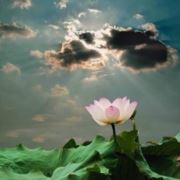 不会游泳的水兵