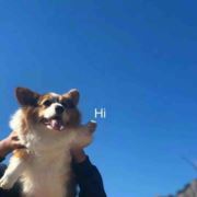 大圆脸双下巴