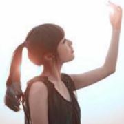 WX~186491455