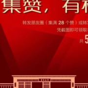 tcy~186508832