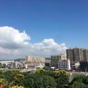 人生有酒须尽醉