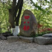 放风筝的海豚