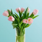 江南优质老托管