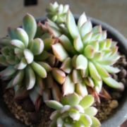 0504心如止水
