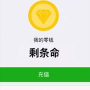 奋进途观