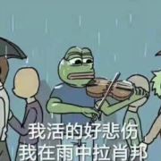 单身狗狗王