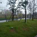 WX~186587911