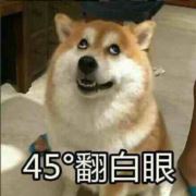 贰贰美少女22